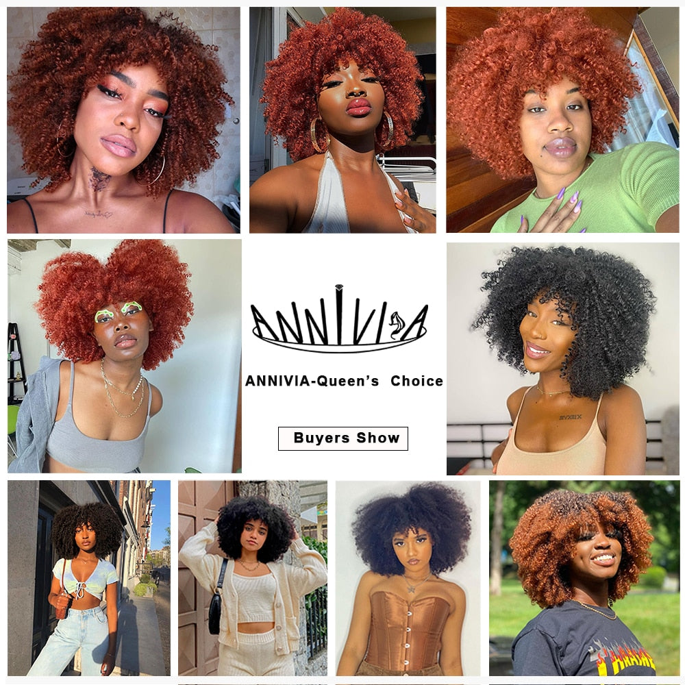 Perruques Afro Crépus Bouclés Cheveux Courts