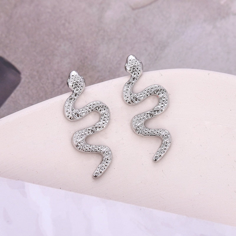 Funny Imitation Snake Earrings