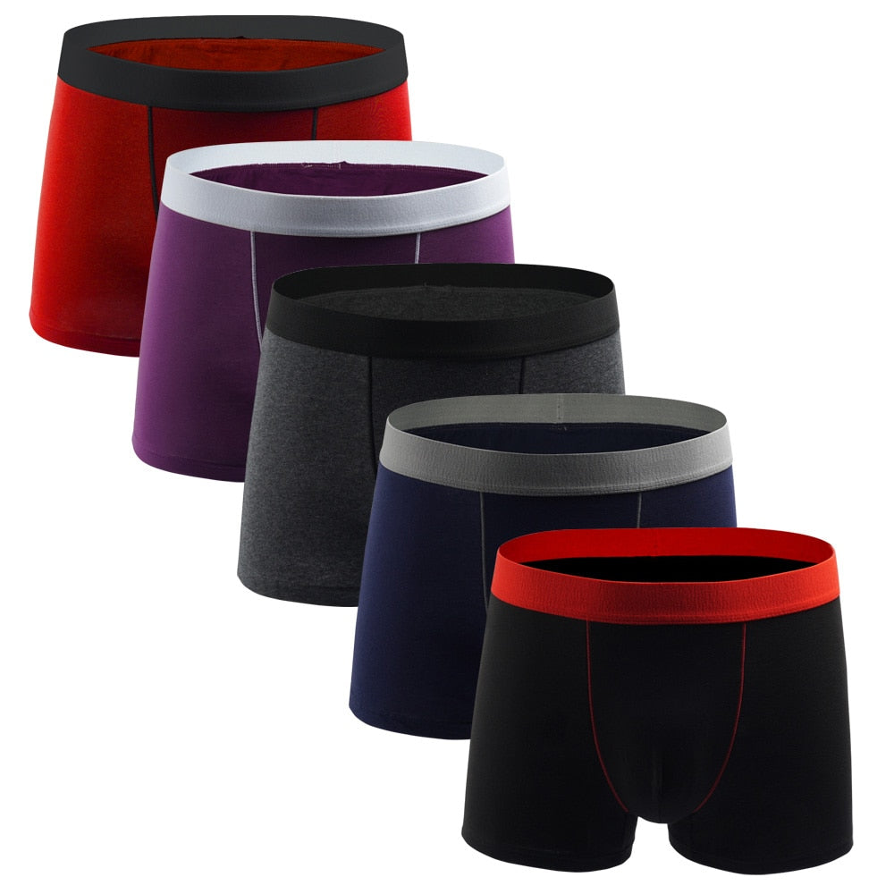 5pcs Boxershorts Hommes