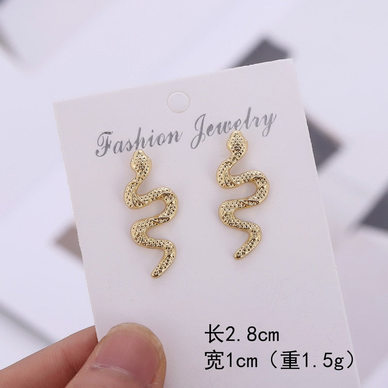 Funny Imitation Snake Earrings