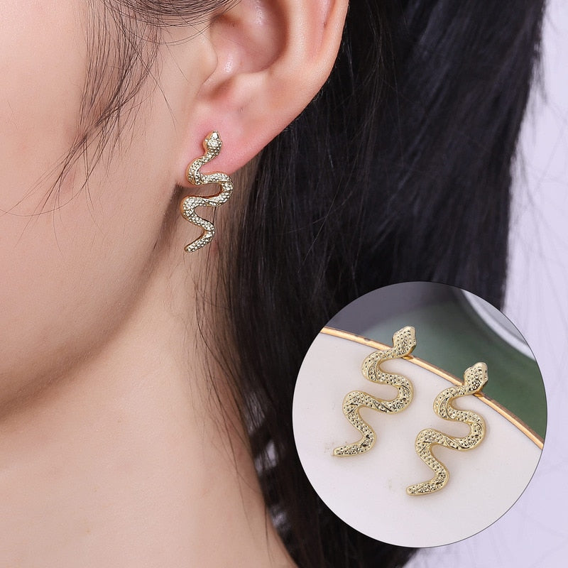 Funny Imitation Snake Earrings