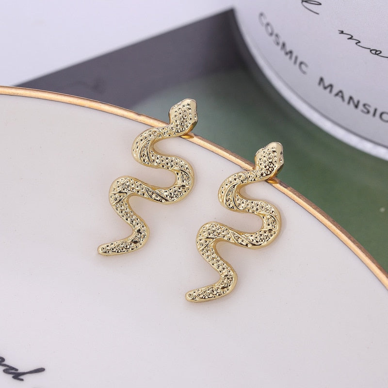 Funny Imitation Snake Earrings