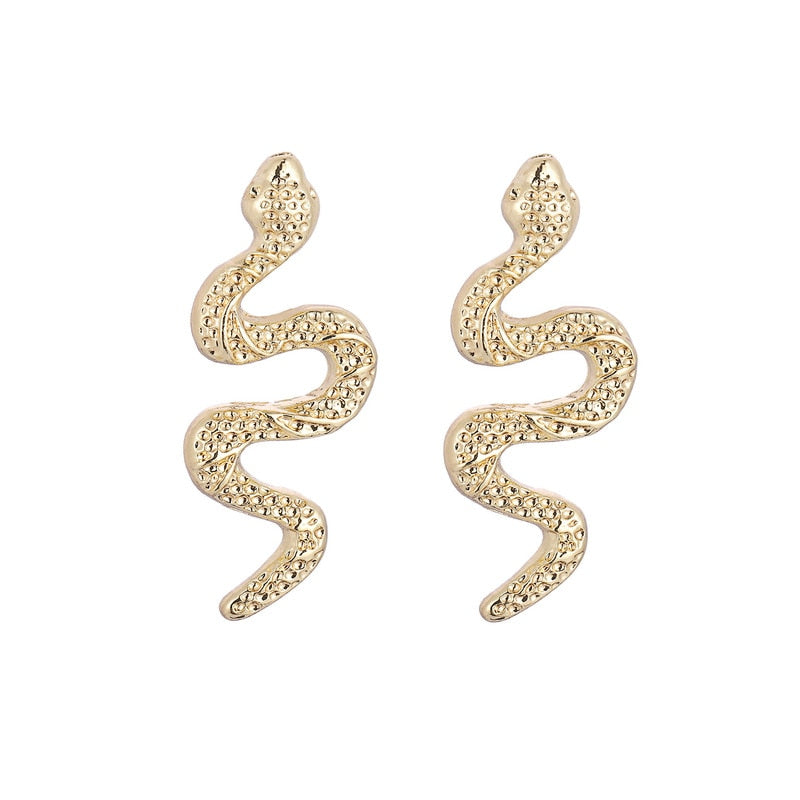 Funny Imitation Snake Earrings