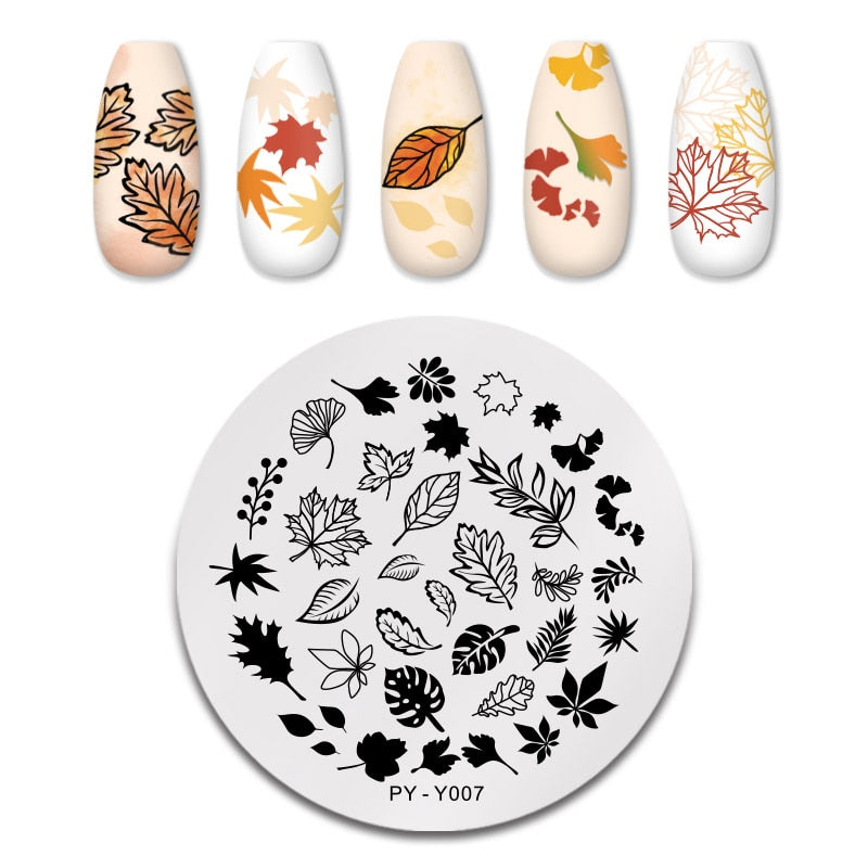 PICT YOU 12*6cm Nail Art Templates Stamping Plate Design Flower Animal Glass Temperature Lace Stamp Templates Plates Image