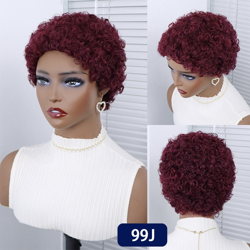 Perruques Cheveux Courts Bouclés Pixie Cut Brésilien