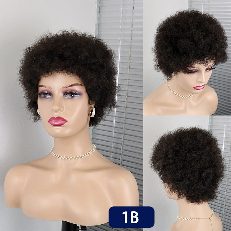 Perruques Cheveux Courts Bouclés Pixie Cut Brésilien